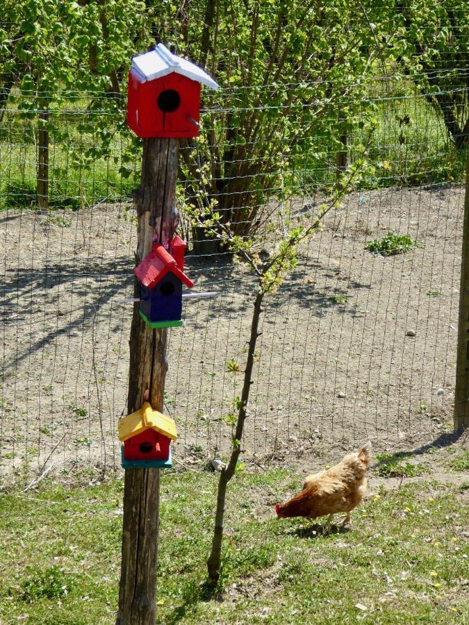 Agriturismo Bottega Di Rosanna Castagnole delle Lanze Eksteriør bilde