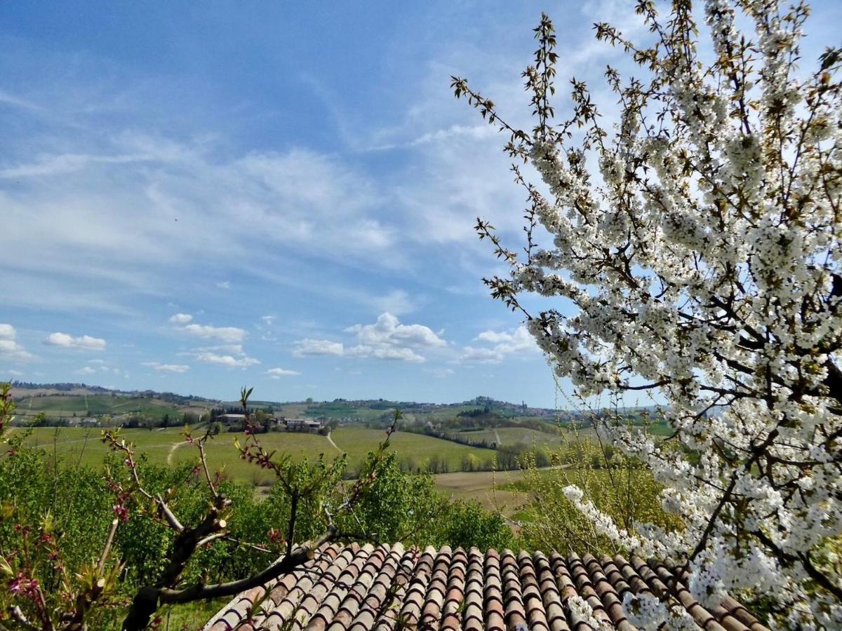 Agriturismo Bottega Di Rosanna Castagnole delle Lanze Eksteriør bilde